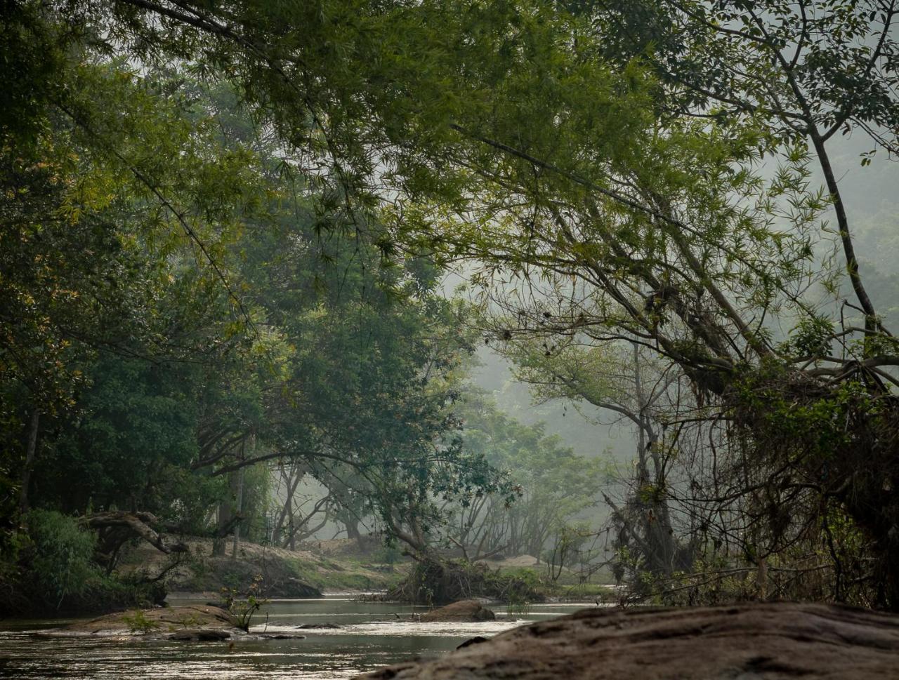 Quiet By The River- Cgh Earth Thodakayam 외부 사진